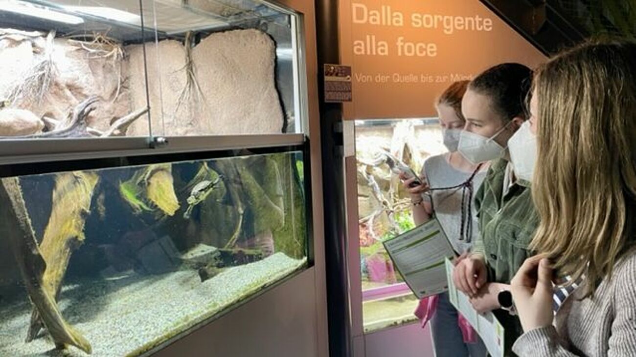 Besuch im Klimahaus - Schüler betrachten Terrarien